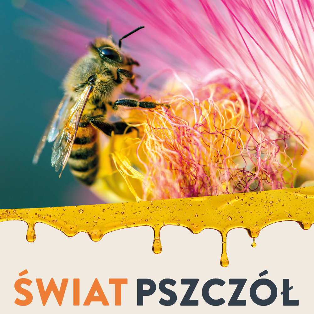 Świat pszczół