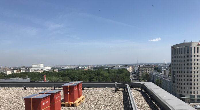 60 kilogramów miodu zebrały pszczoły z warszawskiego biurowca Saski Crescent Saski Crescent