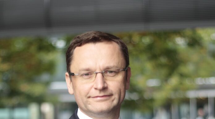 Dobry rok dla magazynów, obiecujące prognozy na 2021 prognozy