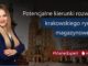 Potencjalne kierunki rozwoju krakowskiego rynku magazynowego