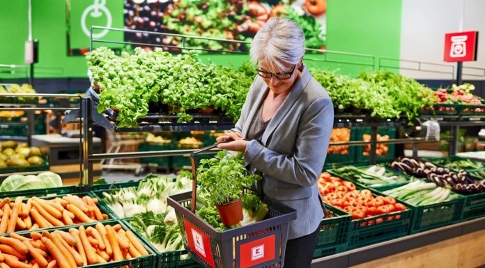 Kapelanka wzmacnia ofertę – Echo wynajęło ponad 6,5 tys. mkw. sieci Kaufland w Krakowie Kapelanka Kaufland