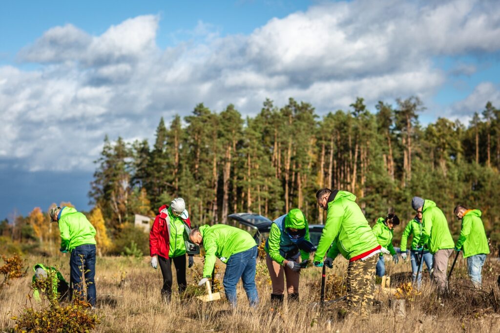 BPI Real Estate Poland