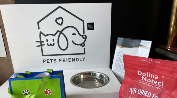 Superkarma dla superpsiaków – Dolina Noteci i Louvre Hotels Group łączą siły w ramach programu Pets Friendly Pets Friendly