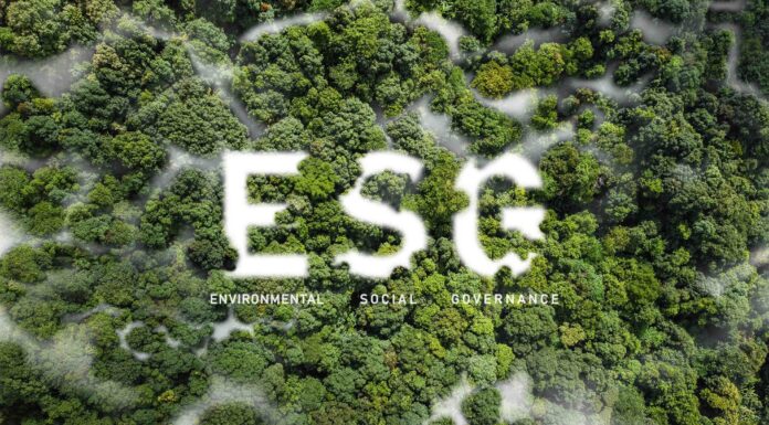 ESG to nowy czynnik w kreowaniu wartości firmy i nieruchomości ESG