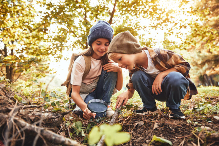 Sodexo Polska - Raport CSR 2022 - Grafika