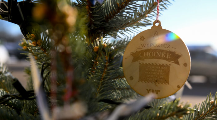 Bądź eko – wypożycz choinkę na święta! YIT po raz drugi wspiera gdańską akcję wypożyczania drzewek YIT